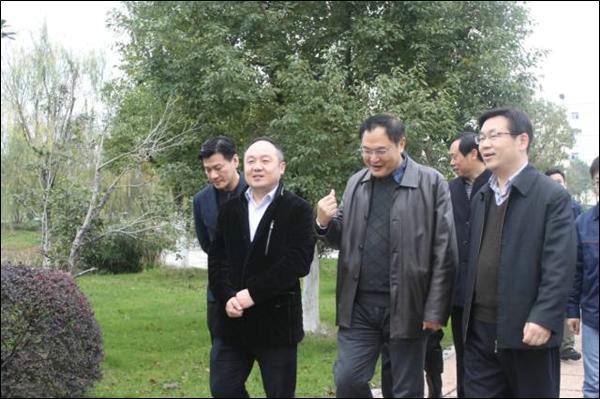 点击新窗口查看原始图片